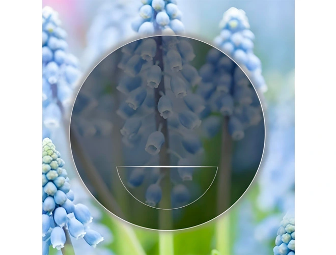 photochromic-eye-lenses